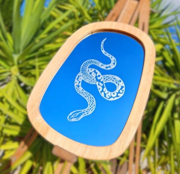 Etched snake mirror.