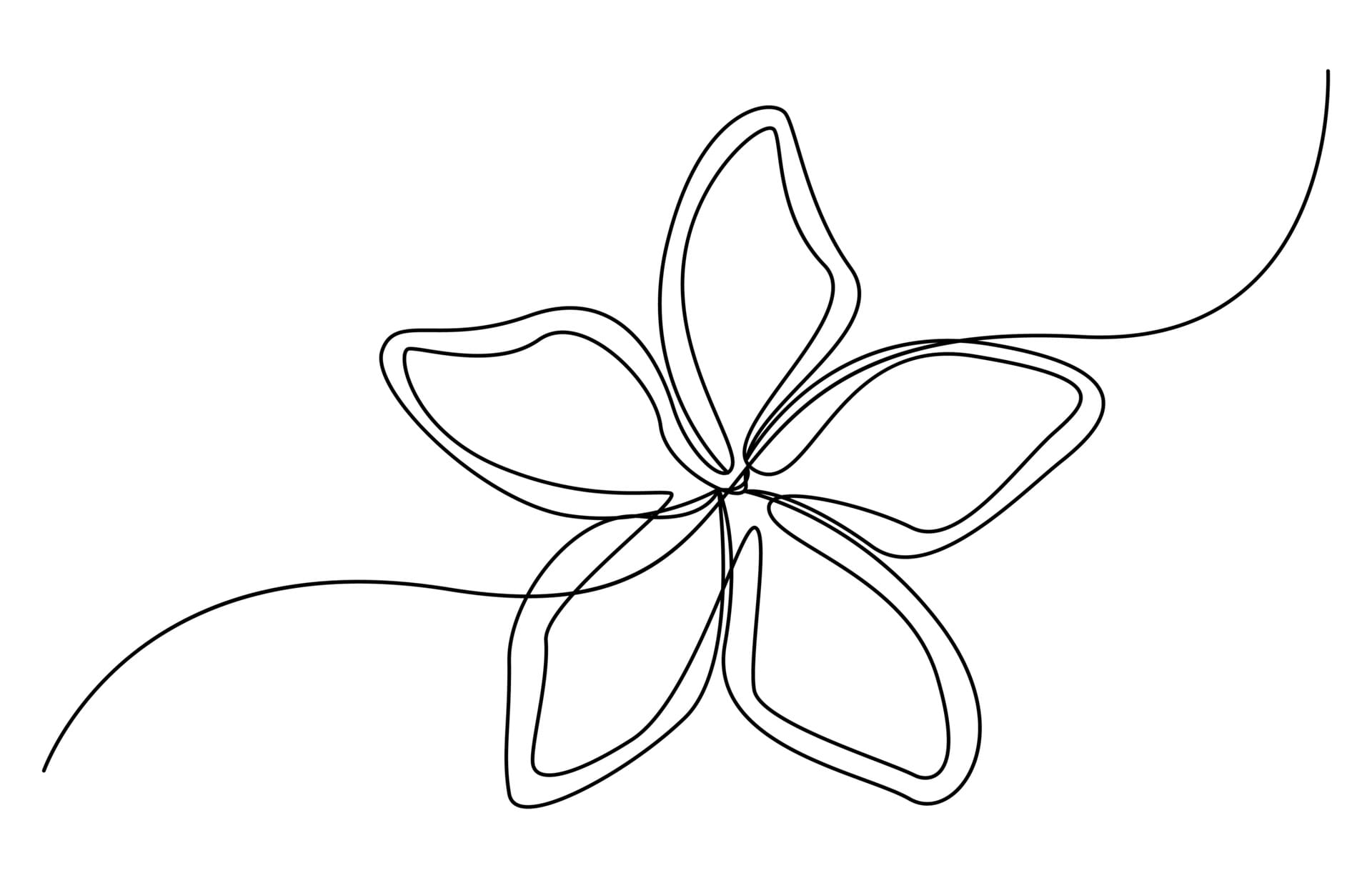 Minimalistic flower drawing.